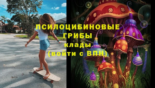 PSILOCYBIN Гусиноозёрск